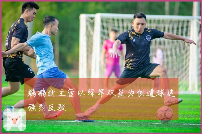 鹈鹕新主管以绿军双星为例遭球迷强烈反驳