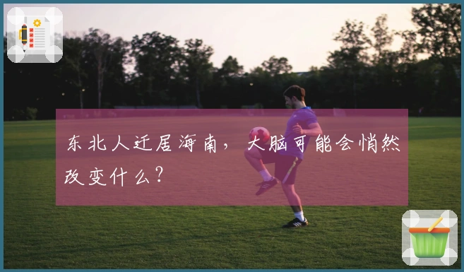 东北人迁居海南，大脑可能会悄然改变什么？